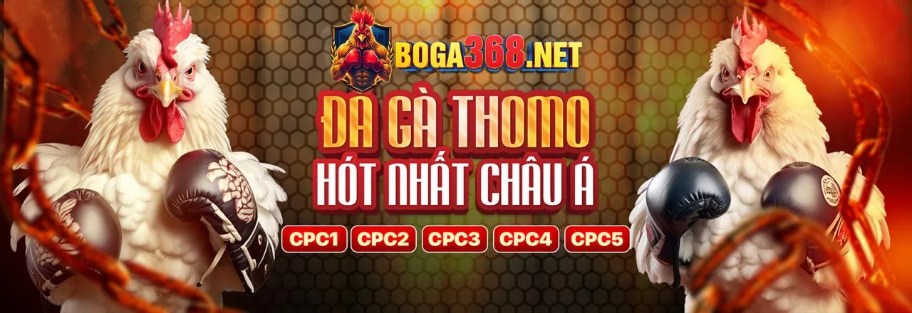 Hình ảnh về cá cược có trách nhiệm tại bong888 nhà cái